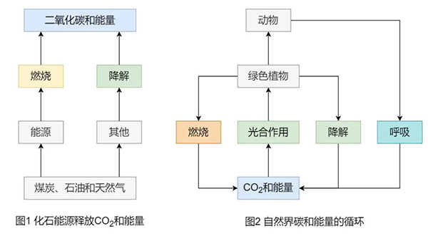 咪咕视频体育直播